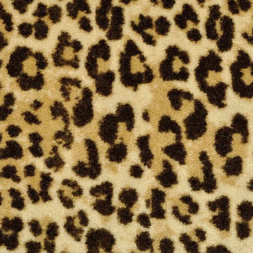 image014 Big Cat Leopard